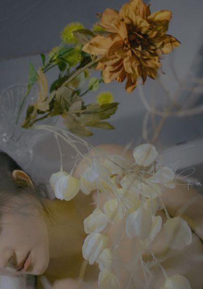 theplaygirl电影免费观看_HDHD在线观看